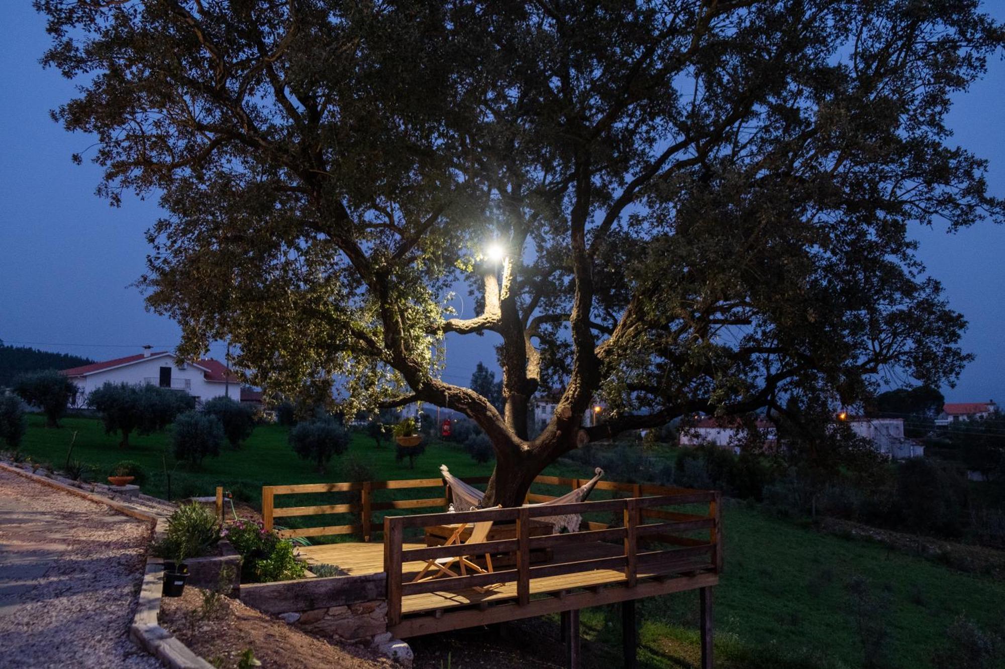 Quinta Do Esteval Penacova Exterior foto